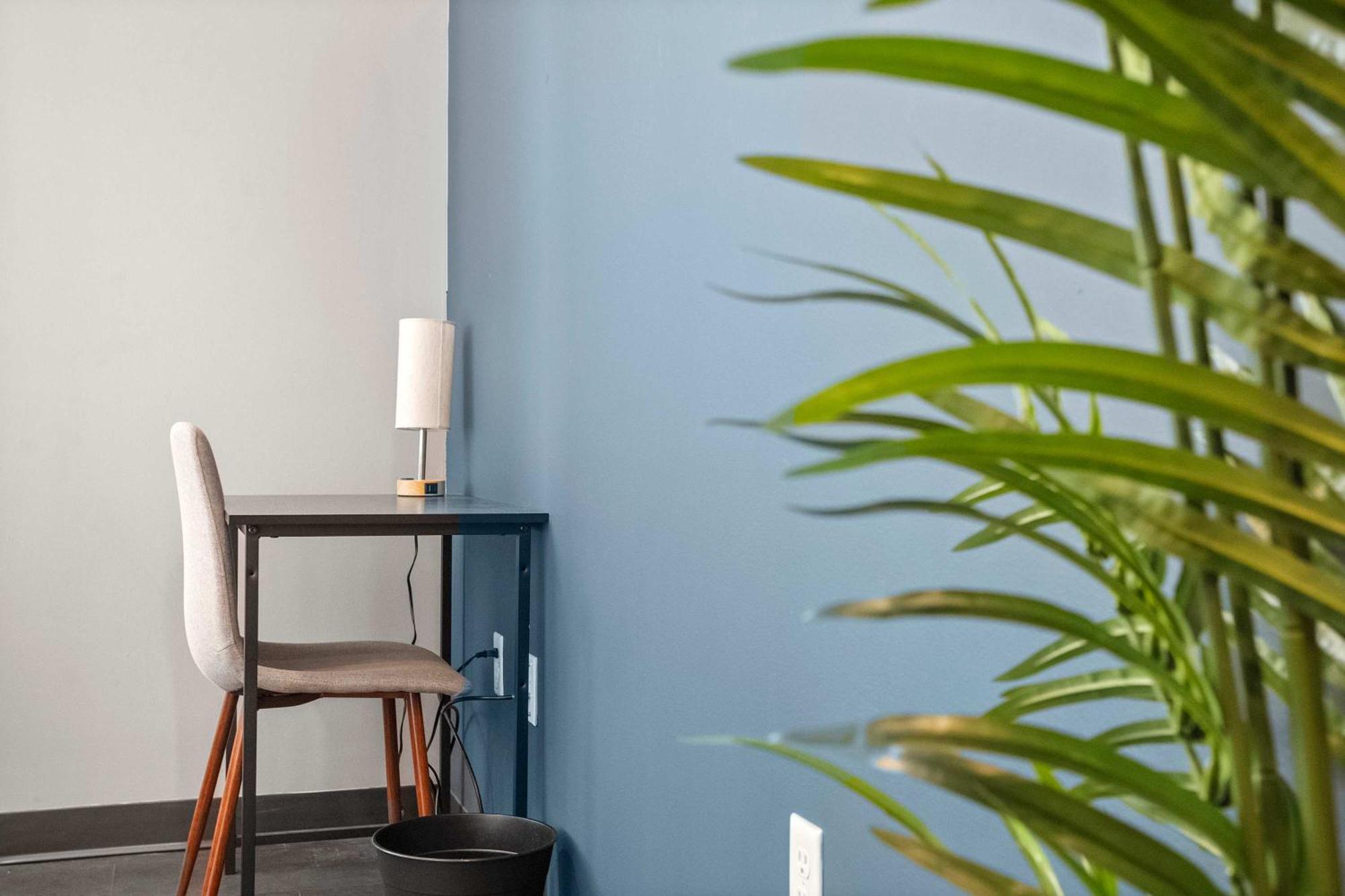 Cozysuites Modern 1br In Downtown Pitts #1 Apartment Pittsburgh